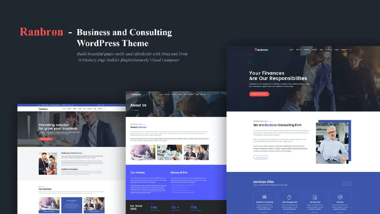 Ranbron-Business-and-Consulting-WordPress-Theme.webp Ranbron - Business and Consulting WordPress Theme - Image 1